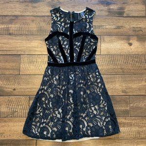 Lace overlay cocktail dress.